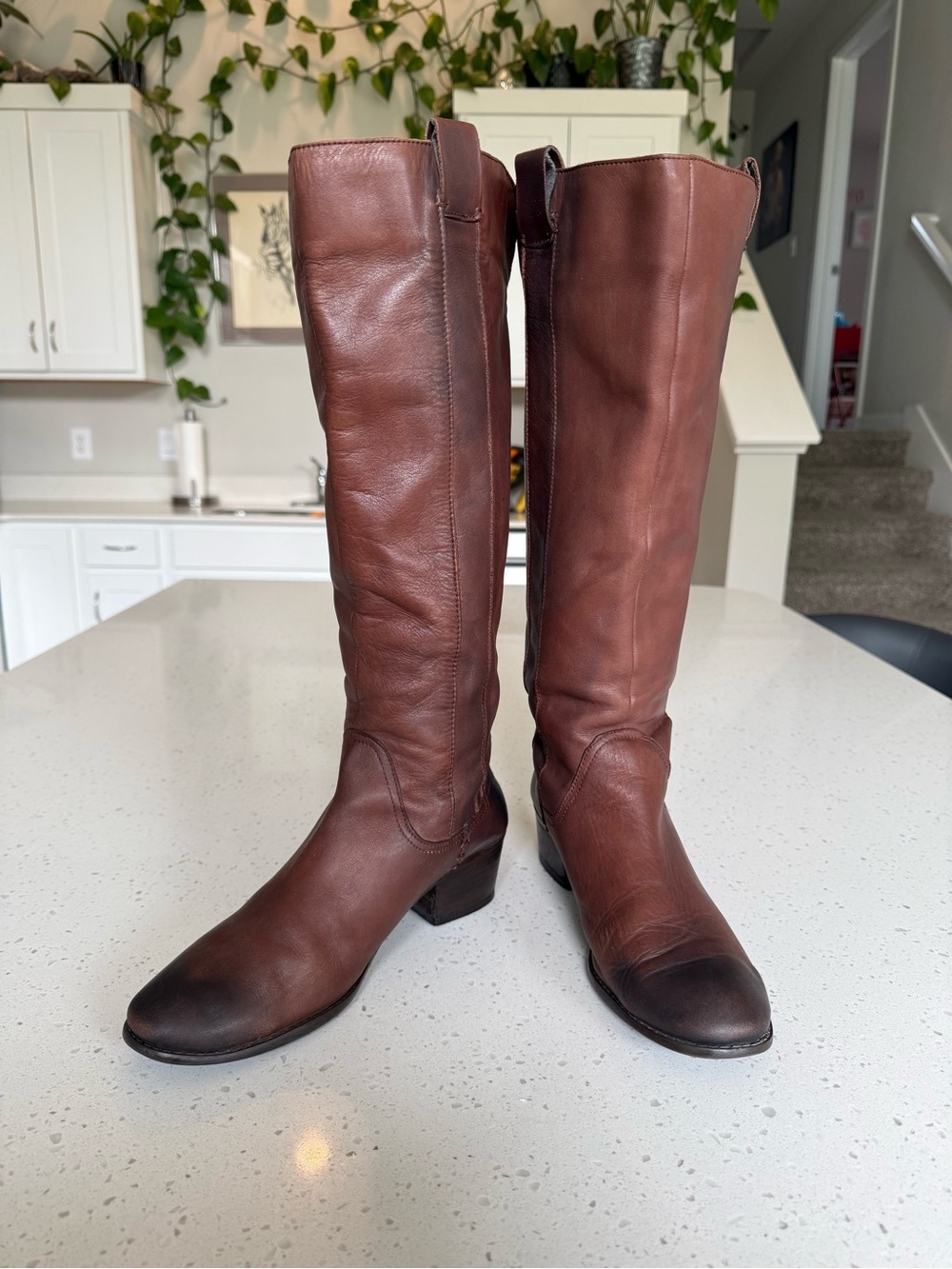 Arturo Chiang Tall Leather Riding Boots - Brown
